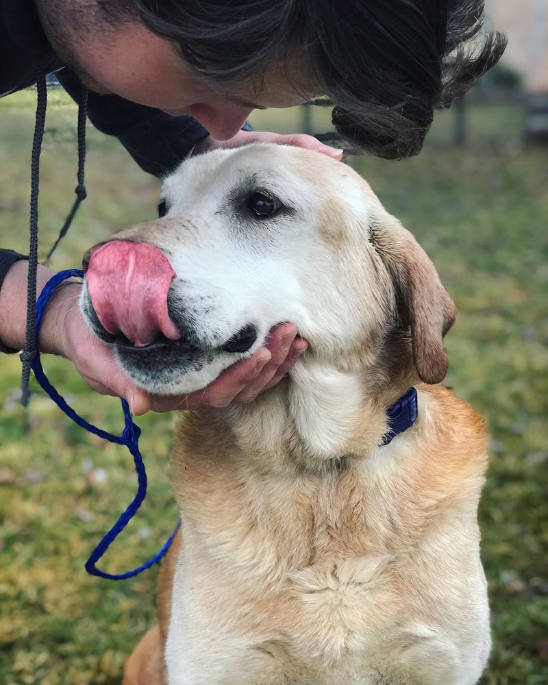 Meet Moose, Ready And Waiting