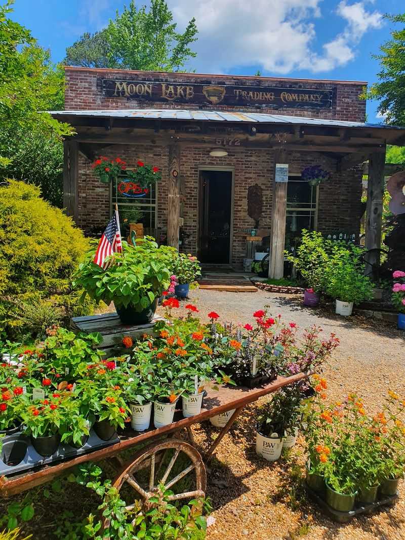 Pottery, Antiques, And Plants Worth Browsing