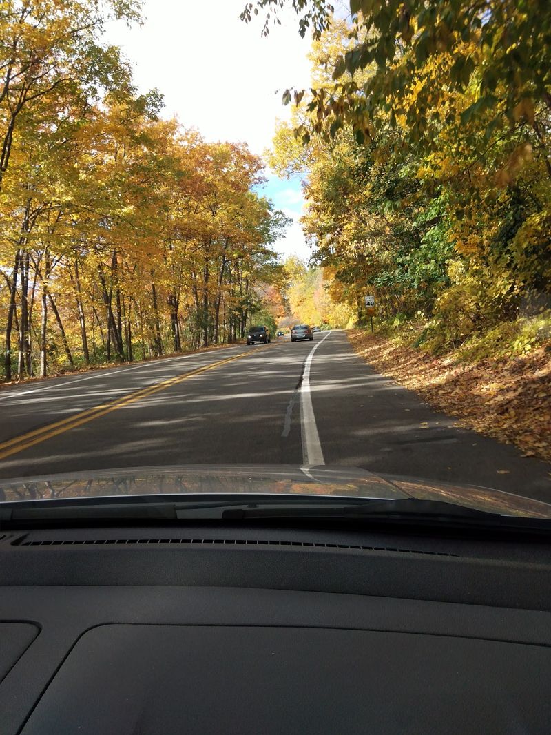 Hines Drive, Livonia