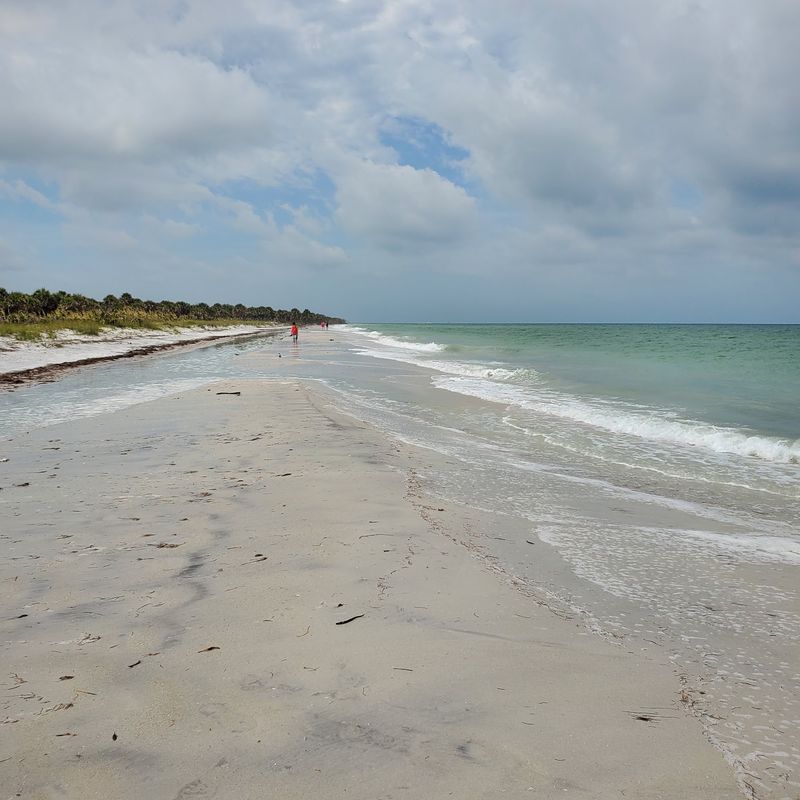 Honeymoon Island State Park, Dunedin