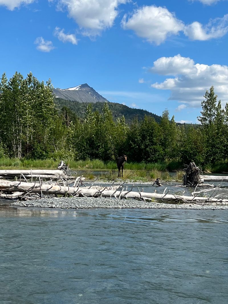 This Peaceful Alaska Mountain Town Feels Made For Slowing Down And Starting Fresh - Decor Hint Forest Fairs And Slush Cup