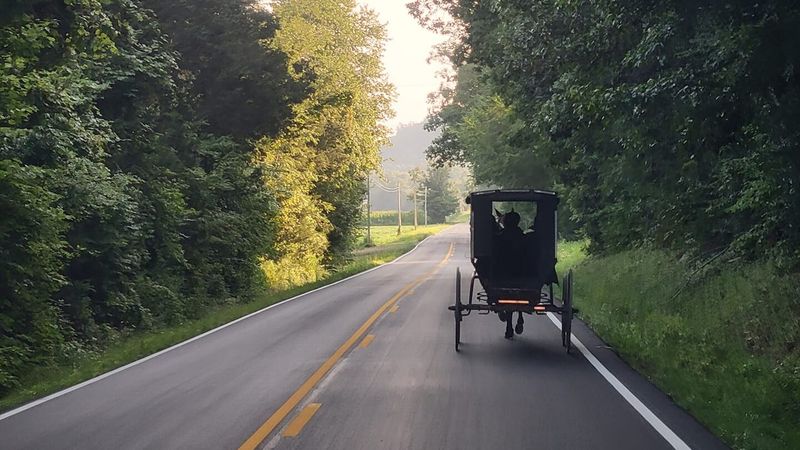 Roadside Stands And The Seasonal Calendar