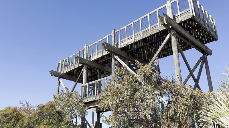 Florida's Little Mountain Overlook Inside This State Park Hides A Secret Snake Problem - Decor Hint A 1966 Tower Waiting on Its Next Chapter