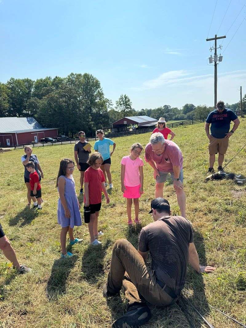 This Middle-Of-Nowhere Georgia Farm Store Sells Fresh Cheese, Butter, And Grass-Fed Goods - Decor Hint Here's How To Actually Visit
