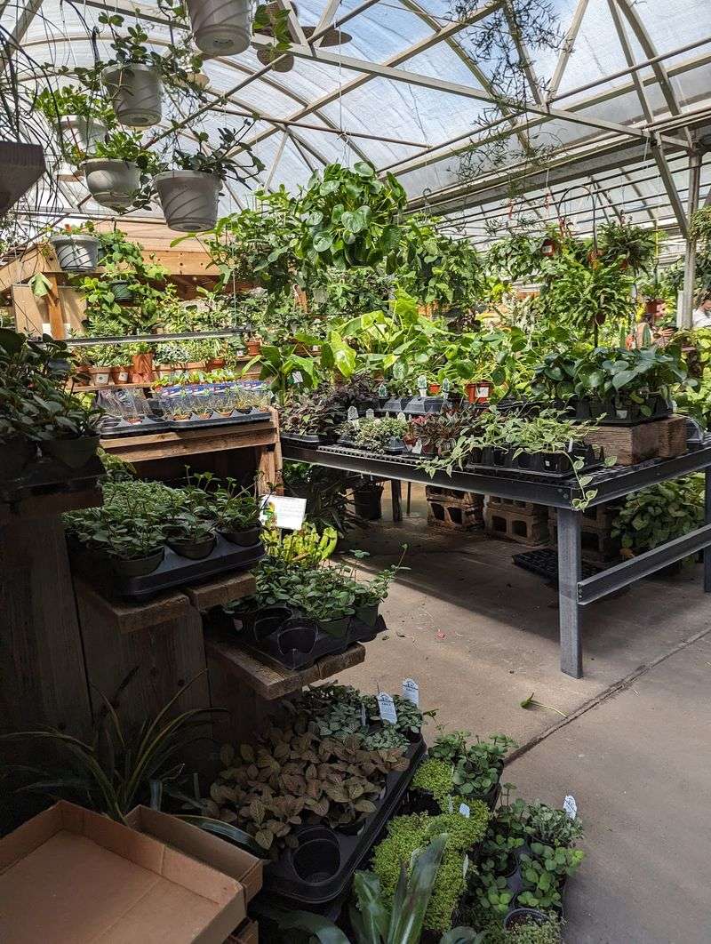 Plants For Every Season