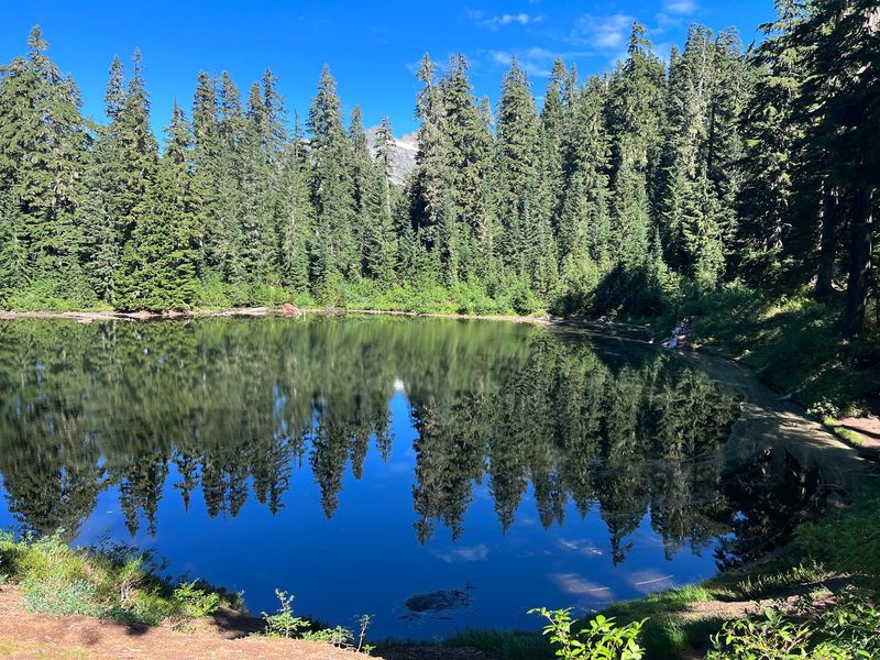 Berries, Meadows, Virgin Lake