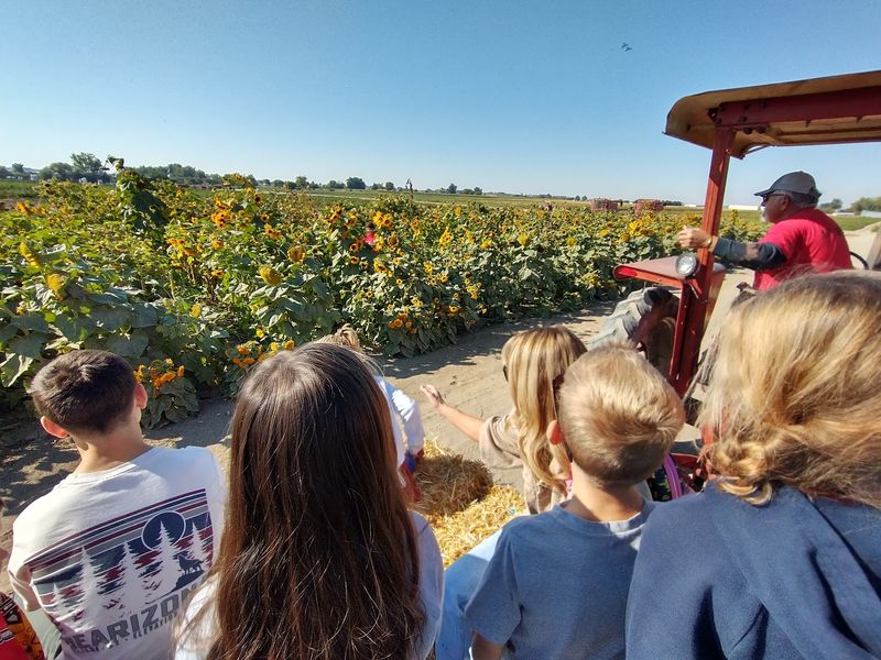 9 Idaho Pumpkin Patches Where Families Pick Straight Off The Vine This October - Decor Hint Purdum's Produce In Fruitland