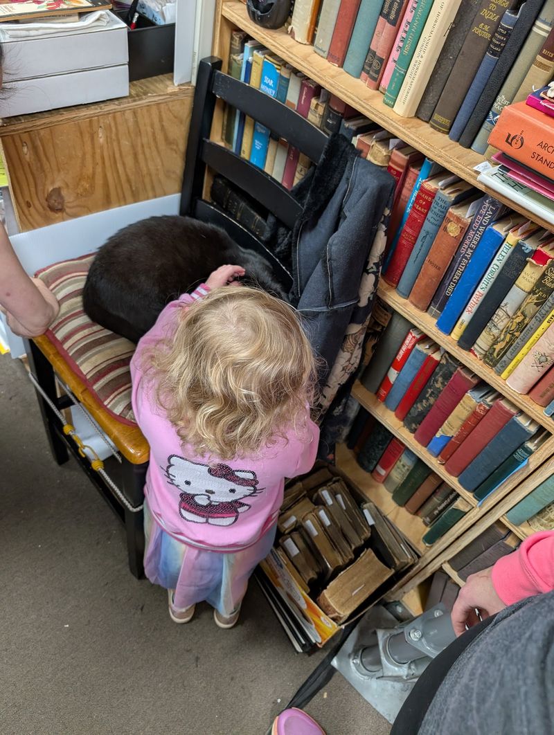 Kids And Teen Sections Built For Real Browsing