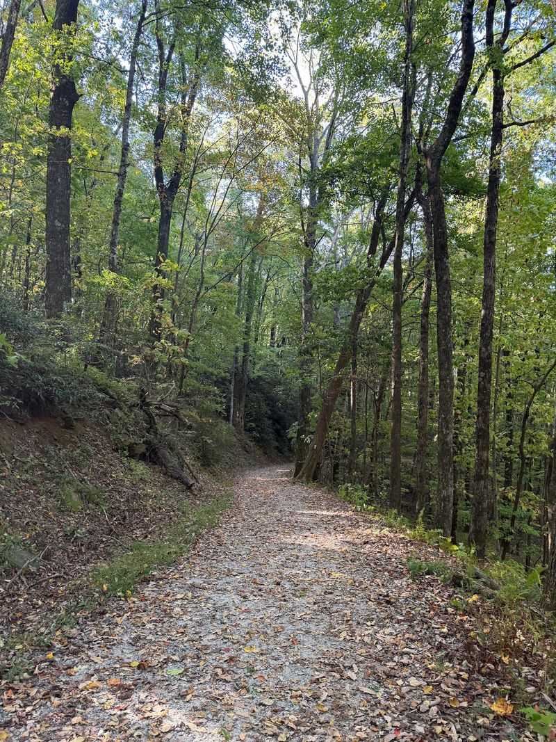 Raven Cliff Falls Trail, Cleveland