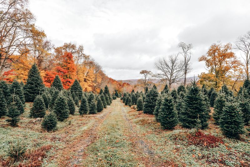 This Tiny North Carolina Mountain Town Sits Above 3,000 Feet And Turns Gorgeous Every Fall - Decor Hint Time Your Visit For The Sweet Spot Of Peak Fall Color
