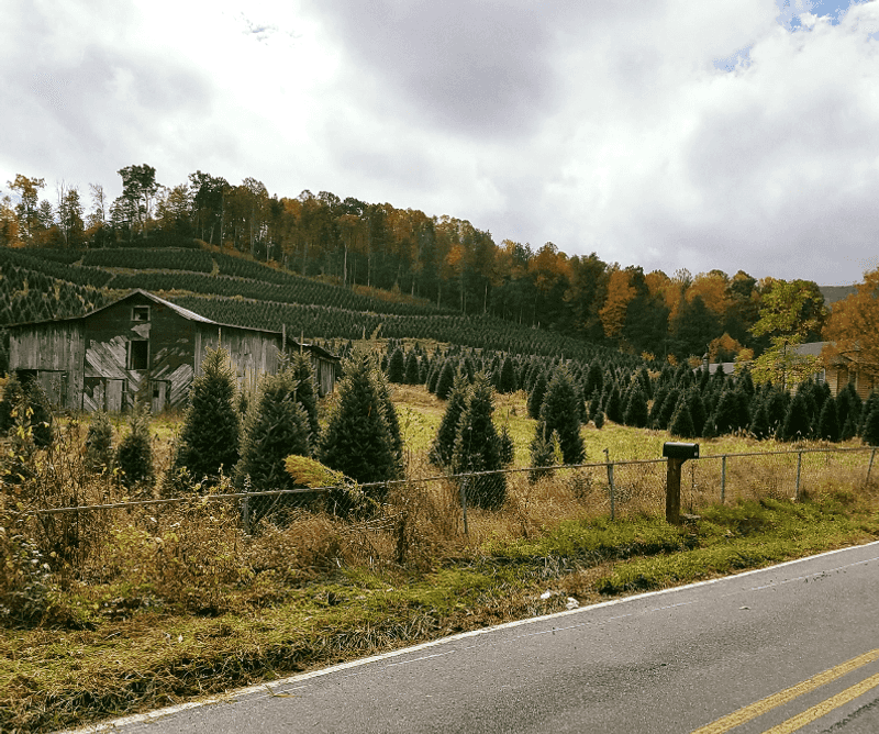 This Tiny North Carolina Mountain Town Sits Above 3,000 Feet And Turns Gorgeous Every Fall - Decor Hint Take A Slow Drive Through One Of The State’s Tiniest Mountain Communities