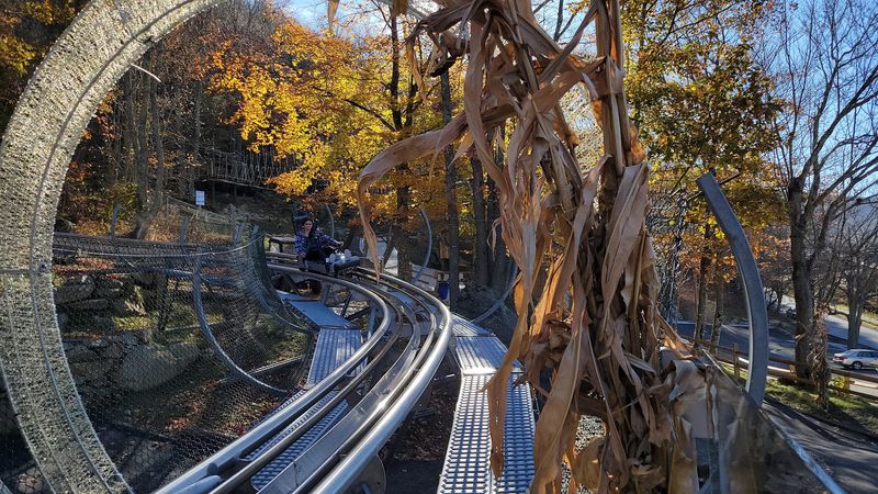 Hit Up To 27 MPH On Twists, Waves, And Three Circular Loops Wilderness Run