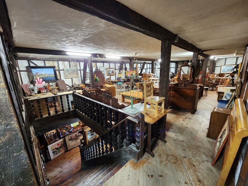 This Idaho Antique Shop Lets A Crew Of Rescued Cats Nap Among The Vintage Shelves - Decor Hint Who Will Love This Stop