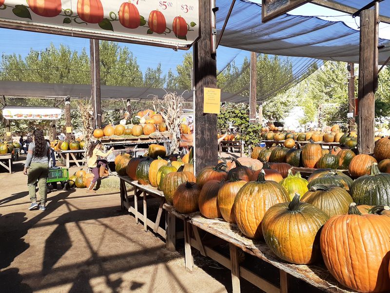 Live Oak Canyon Farm, Redlands