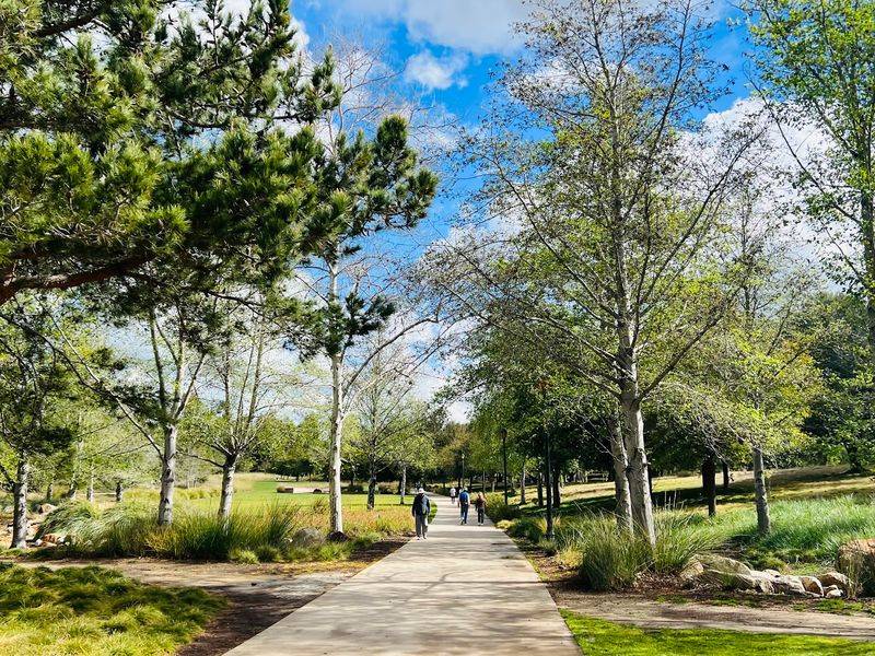 This California City Is Becoming One Of The Best Places For Gen Z To Build A Life - Decor Hint Bike Trails Reach Almost Everywhere