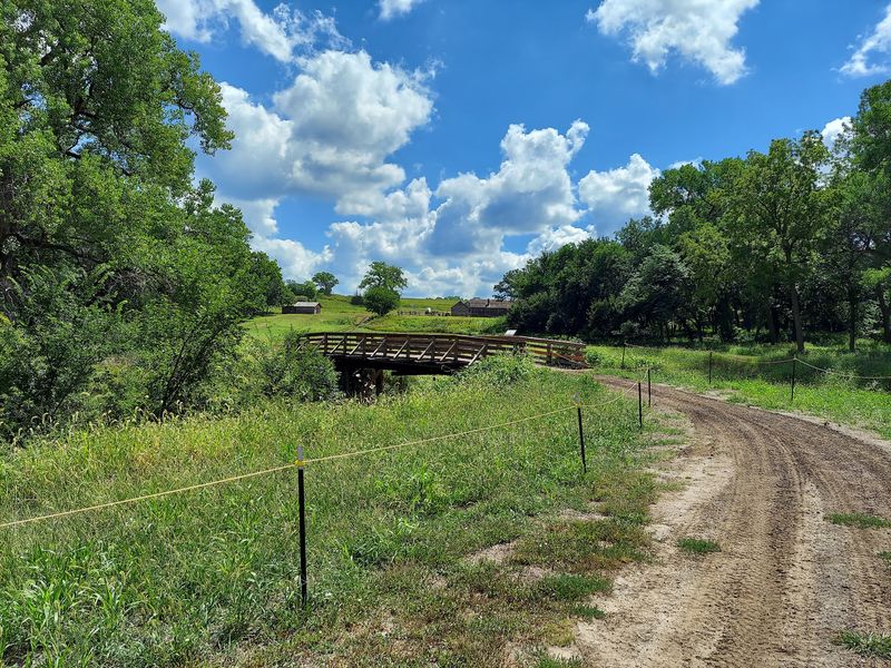 The Wagon Ruts Cut Into the Hillside