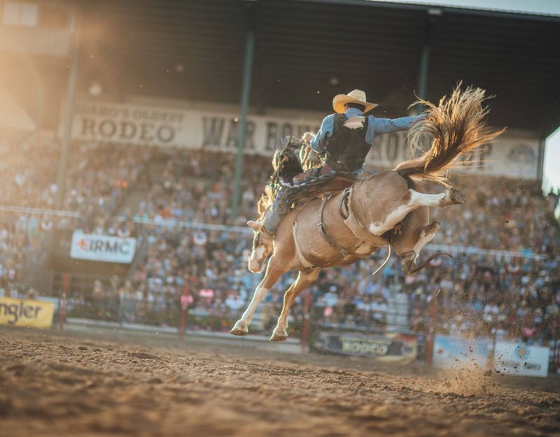 10 Idaho Rodeos So Wild They’re Worth Planning A Road Trip Around - Decor Hint War Bonnet Round Up - Idaho Falls
