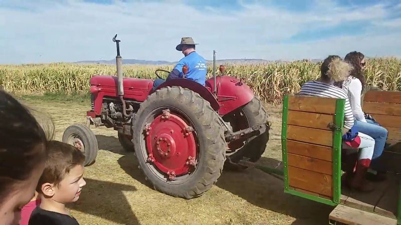 Hayrides Through the Fields