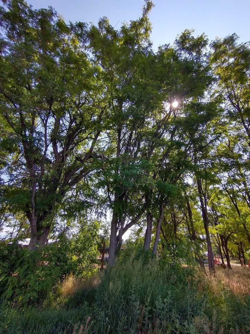 This Idaho Farm Lets You Get Up Close With Kangaroos, Highland Cows And More Than 300 Animals - Decor Hint Indian Creek Runs Through The Property And Adds To The Rural Setting