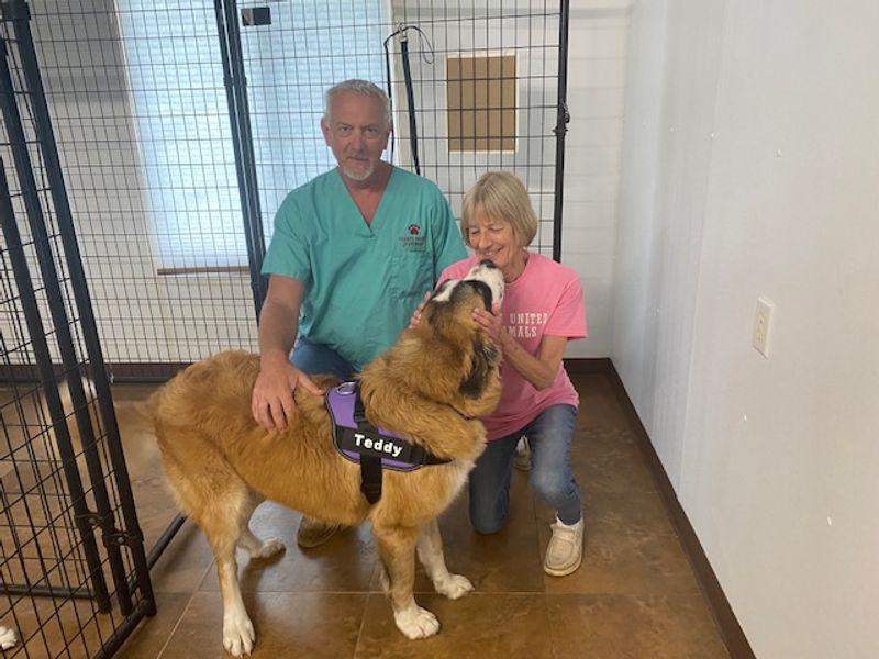 Spay, Neuter and the Nebraska Vet Bill Grants