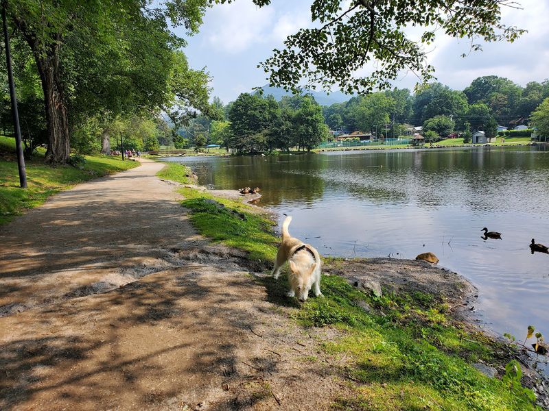 Lake Tomahawk Gives You Mountain Scenery Without A Long Hike