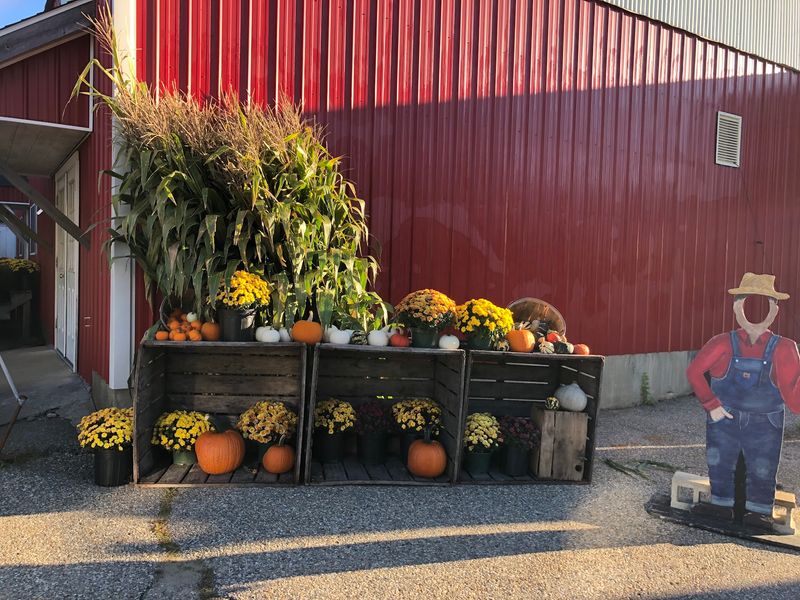 The Farm Stand Keeps Local Harvests Close To Home