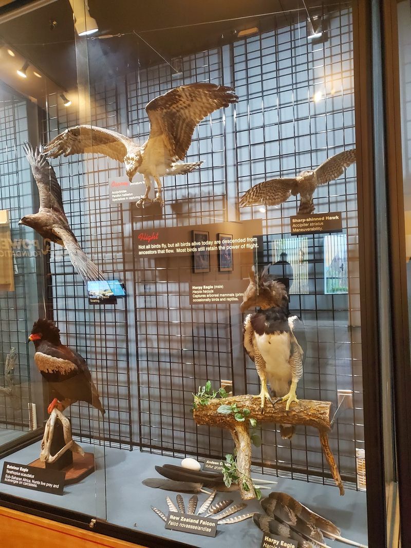 An Interpretive Center Built For Curious Minds