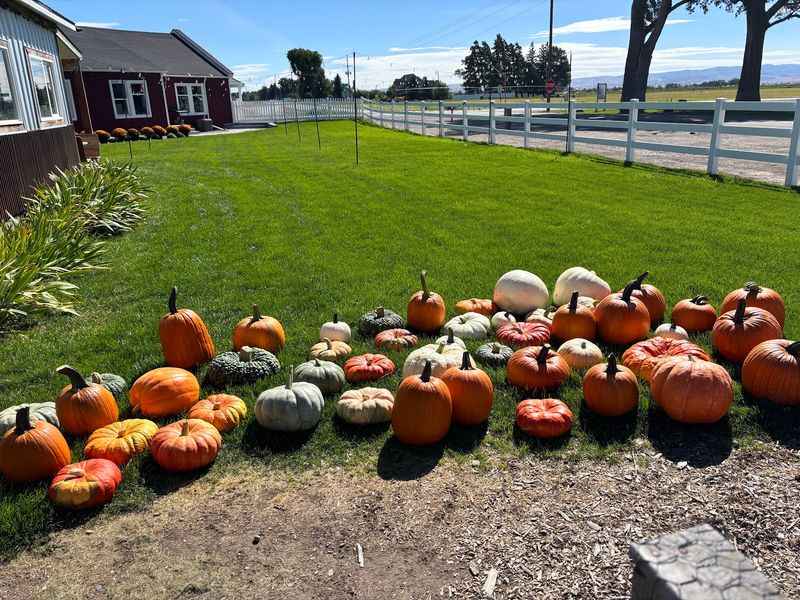 9 Idaho Pumpkin Patches Where Families Pick Straight Off The Vine This October - Decor Hint New Sweden Farms Idaho Falls Corn Maze and Pumpkin Patch In Idaho Falls