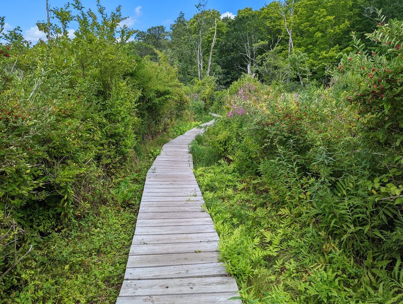 Northwestern Hills Give It A Peaceful Setting