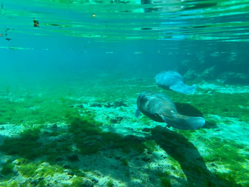 What the Water Looks Like Up Close