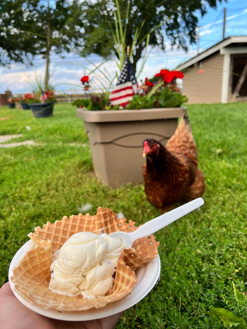 Homemade Ice Cream Changes Flavors With The Seasons