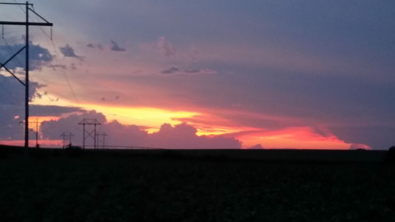How Cattle Country Replaced Nebraska's Homestead Farms