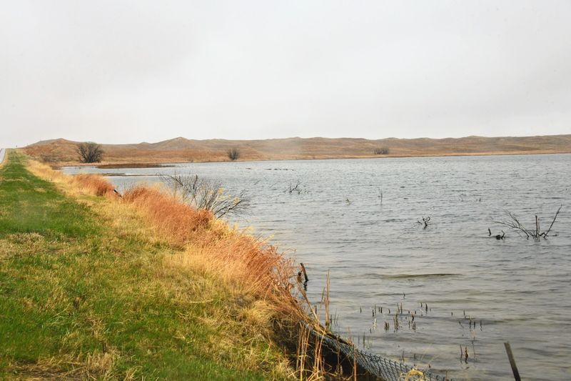 Little Hay Road and the Nine-Mile Wildlife Drive