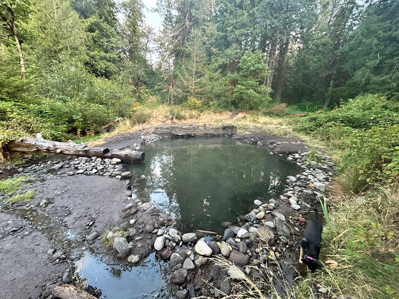 Pools That Keep Changing