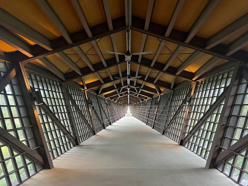 Out Along The Infinity Room