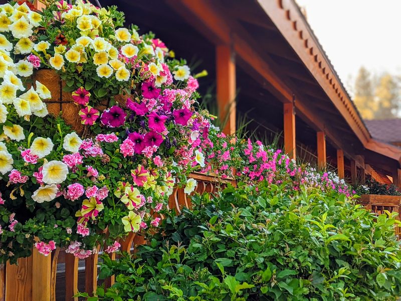 Flower-Filled Porches and Garden Seating