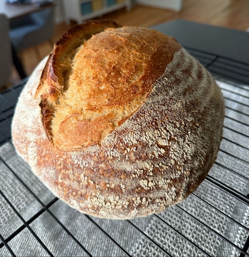 This West Virginia Bakery Turns Cinnamon Rolls Into Pure Comfort - Decor Hint Meet Jeffrey, The 45-Year-Old Sourdough Starter