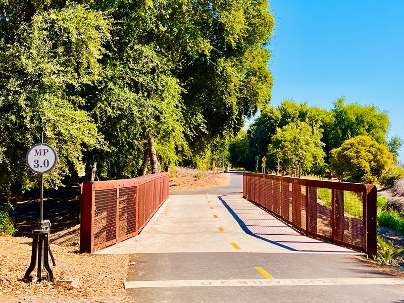Sacramento Is One Of California's Most Bike-Friendly Larger Cities