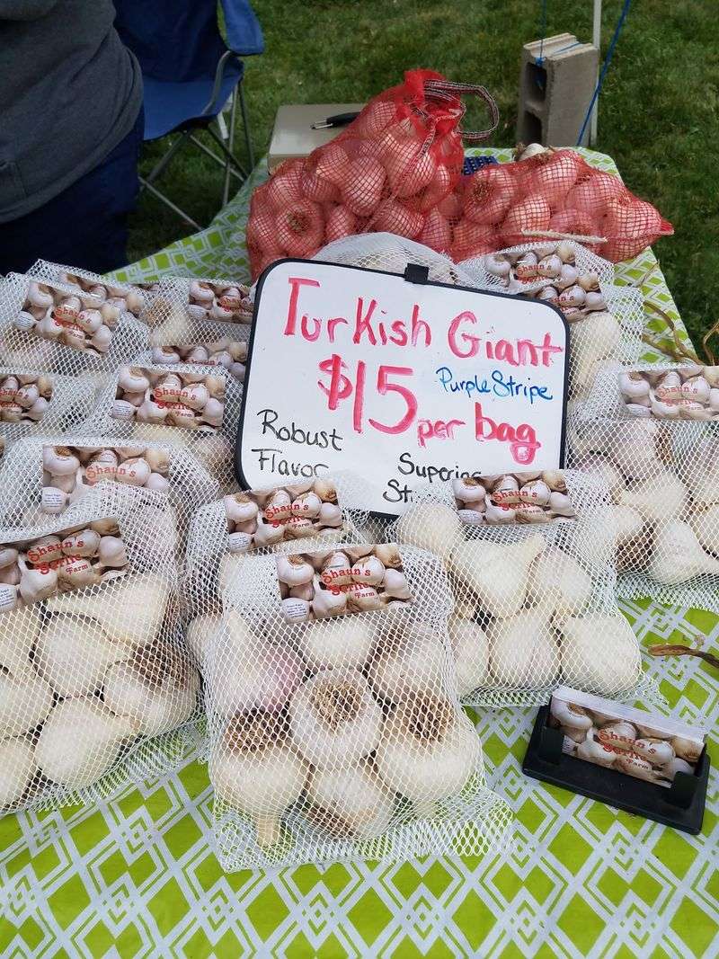 Garlic Takes Center Stage For Two Fall Days