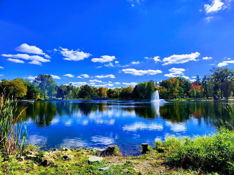 Lake Julia And Open Green