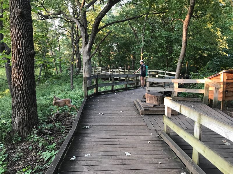 Boardwalk Views and Trails Worth Sweating For