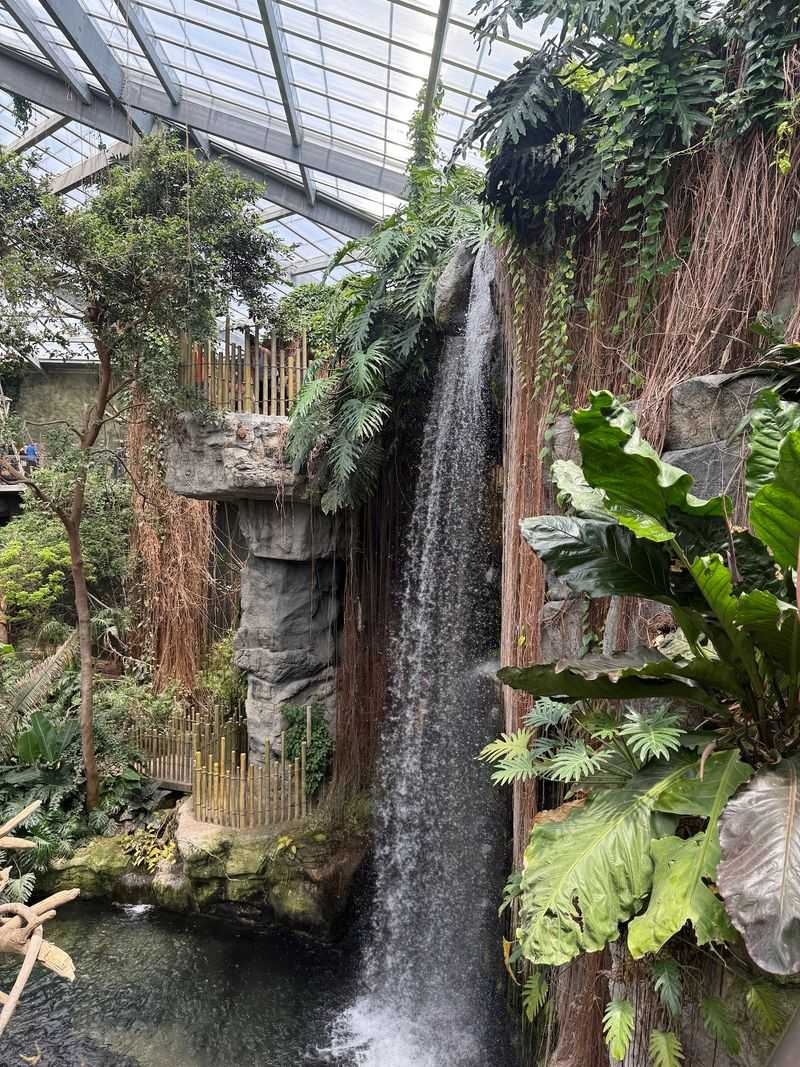 Nebraska Is Home To A Zoo Where A Glass Tunnel Lets Sharks Swim Right Over Your Head - Decor Hint Lunch Above a Jungle Canopy