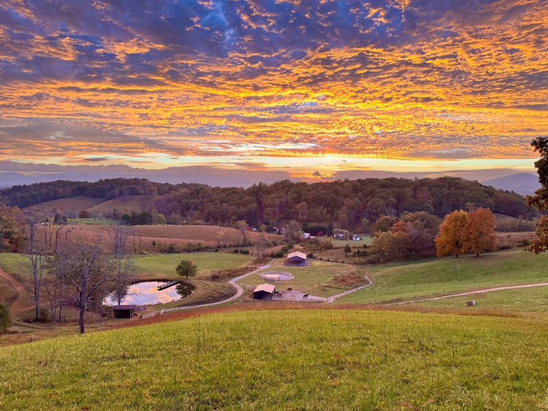Why This Farm Near Asheville Feels More Like A Retreat Than An Attraction