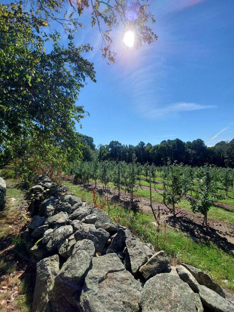 White Hills Sets The Country Scene