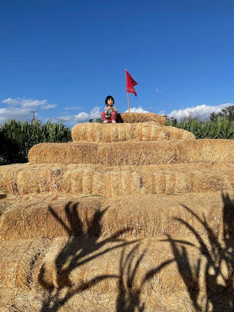Planning The Visit: Timing, Tickets, Parking, And Farm Rules