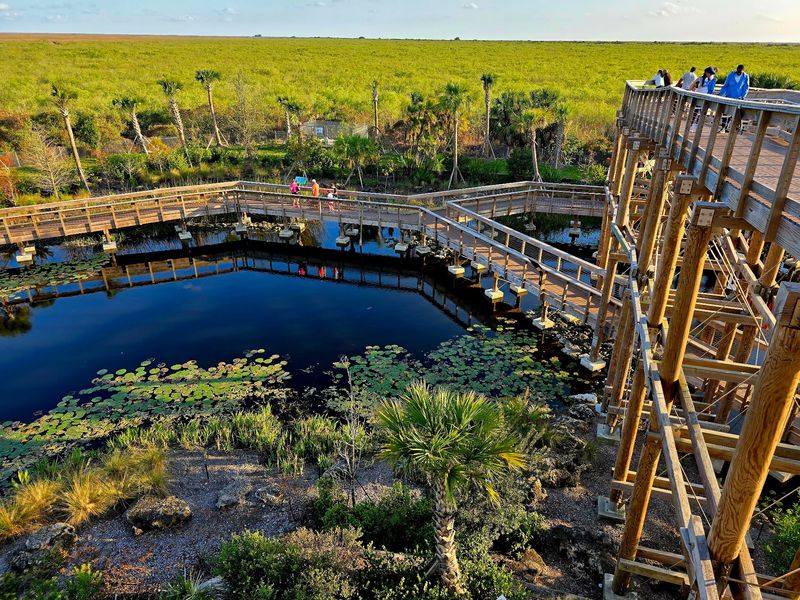 From Truck Lot To Wetland Wonder