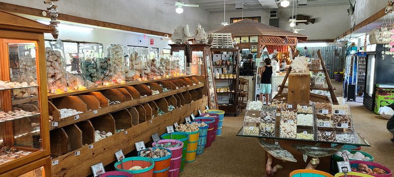 Shell World in the Florida Keys