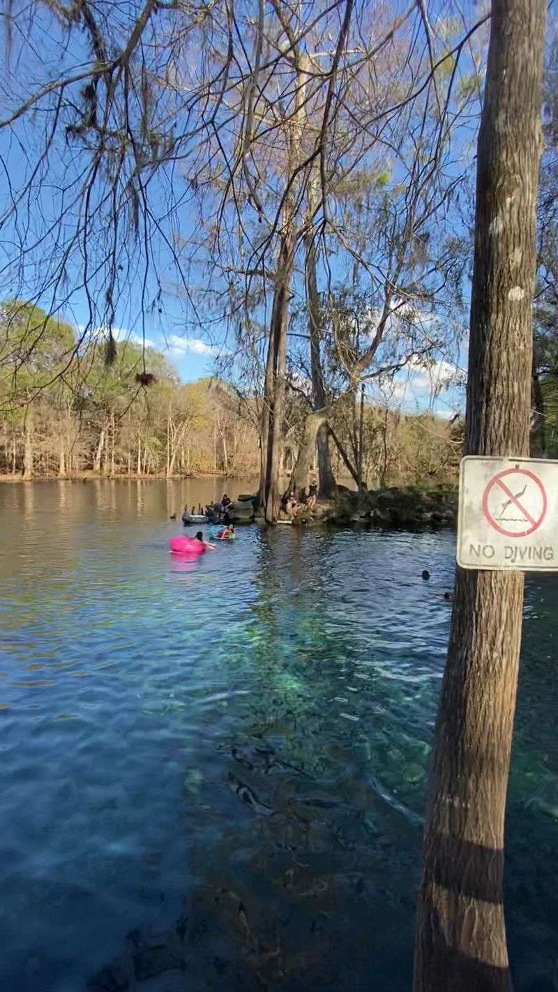 This Florida Campground Lets You Arrive And Grab A Primitive Site Without Reserving Ahead - Decor Hint Rules That Protect The Springs