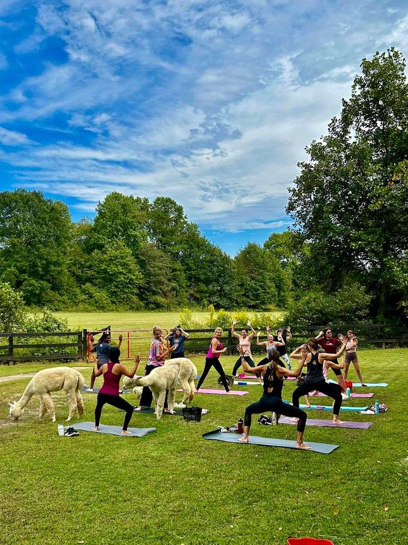 Yoga Mats, Sunshine, And Curious Onlookers