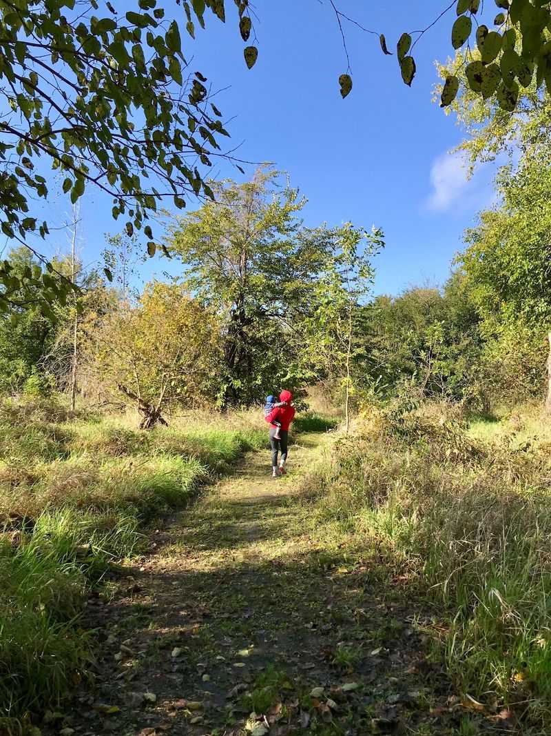 Nearly A Mile Of Boardwalk Through This Nebraska Forest Ends At A Marsh Lookout - Decor Hint Three Trails, One Short Loop